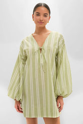 Faded Juniper Ombre Stripe Pia Mini Dress
