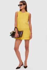 Citrine Suede Dakota Mini Dress